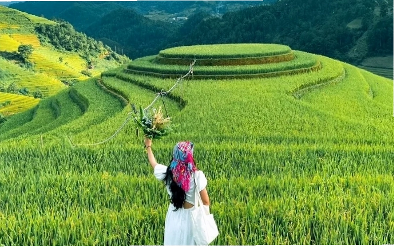 Ruộng bậc thang đẹp nhất Việt Nam
