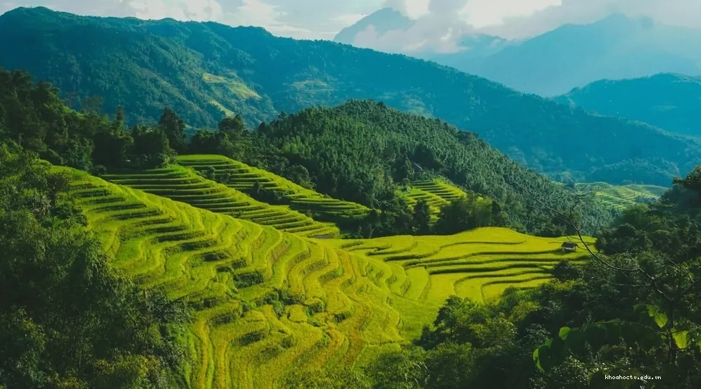 Ruộng bậc thang Hà Giang ở Bản Phùng có độ dốc đặc trưng