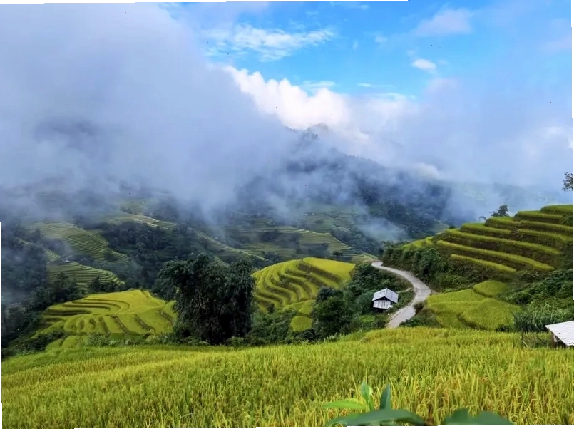Ruộng bậc thang Hà Giang ở Xà Phìn ẩn hiện trong sương