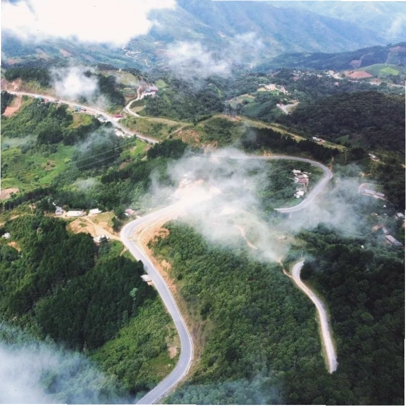 Ruộng bậc thang xanh mướt nhìn từ trên cao