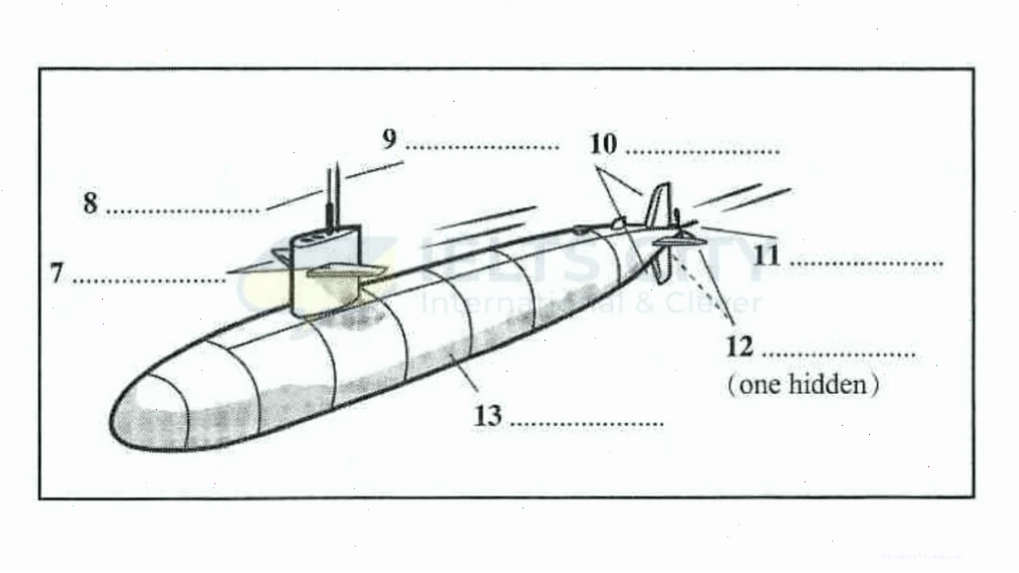 Sơ đồ minh họa các loại hình du lịch dưới biển và các yếu tố liên quan