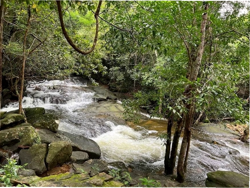 Suối Tranh Waterfall Phú Quốc mùa mưa