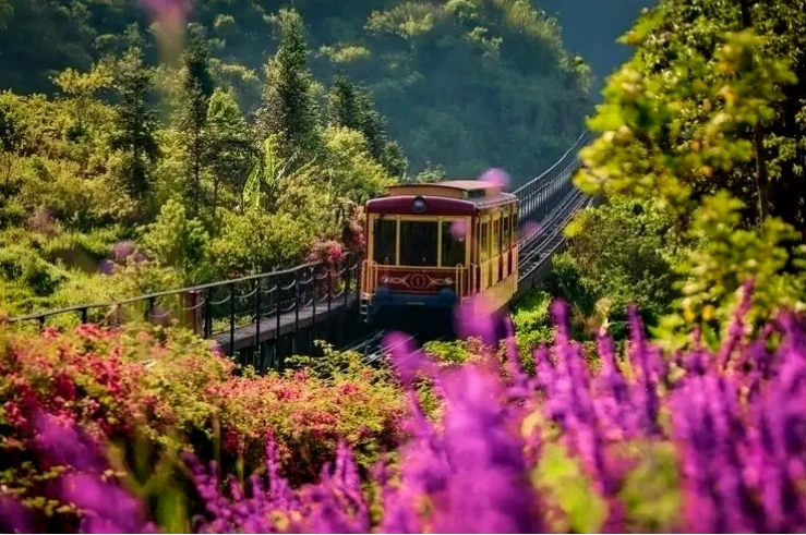 Tàu Mường Hoa lung linh về đêm