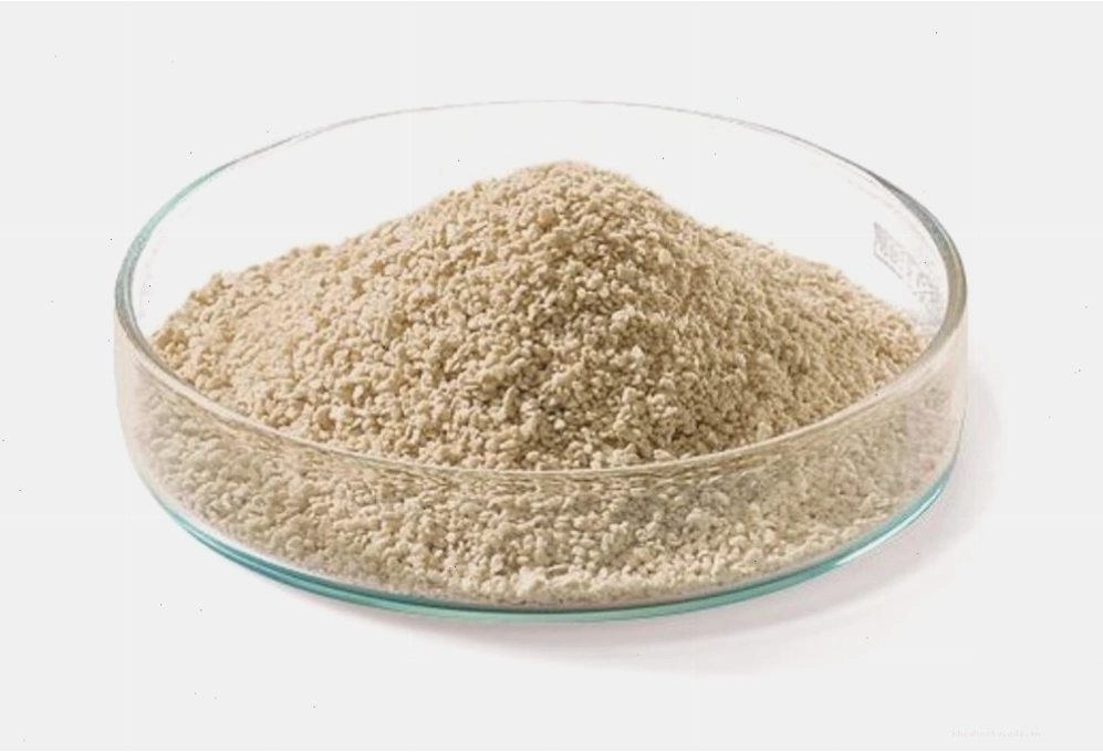 Thạch agar có nguồn gốc từ tảo biển đỏ