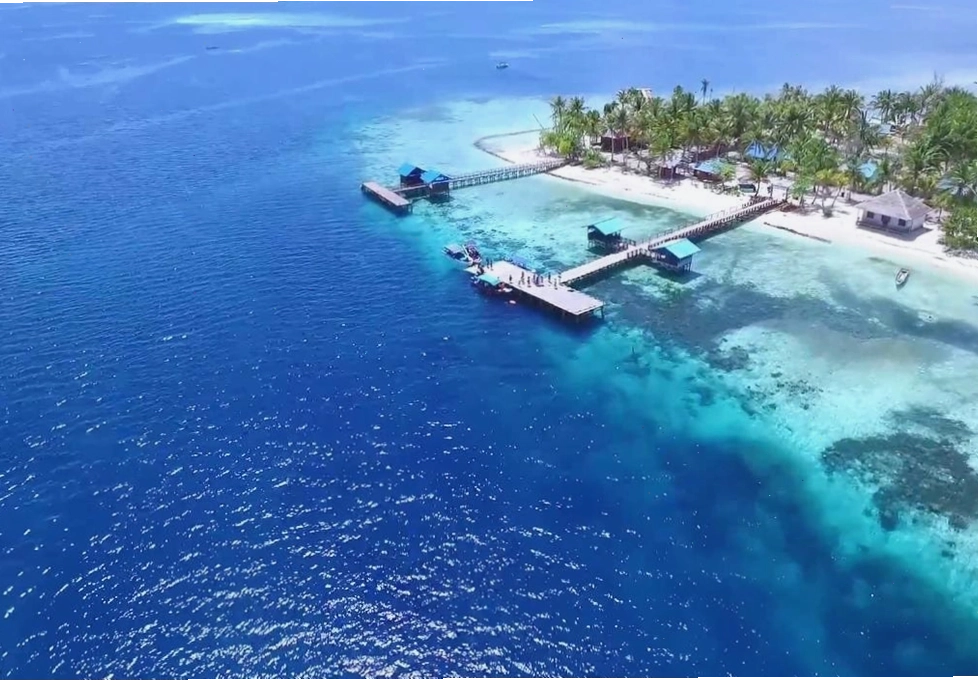 Thế giới san hô đầy màu sắc dưới đáy biển Raja Ampat