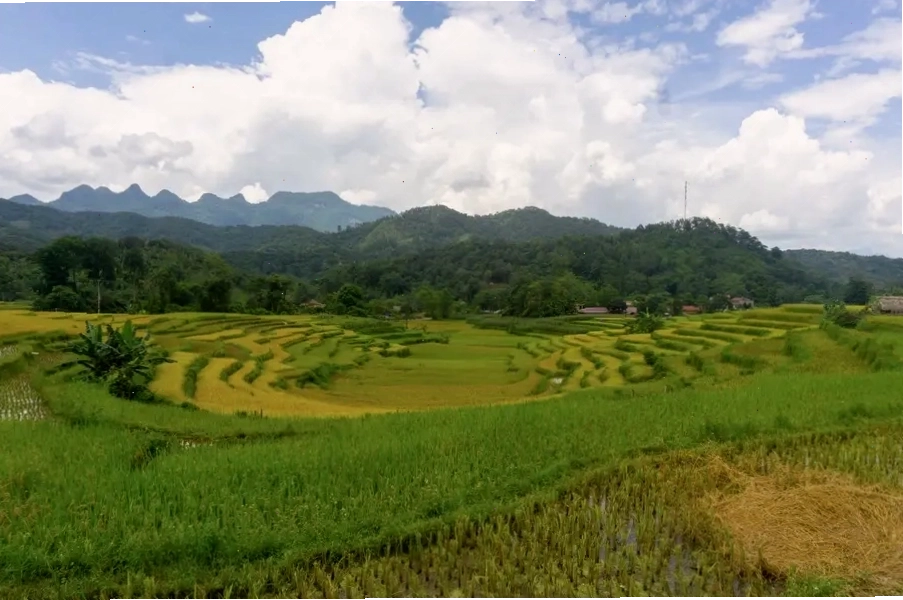 Thôn Tha - một trong những điểm ngắm ruộng bậc thang đẹp nhất Hà Giang
