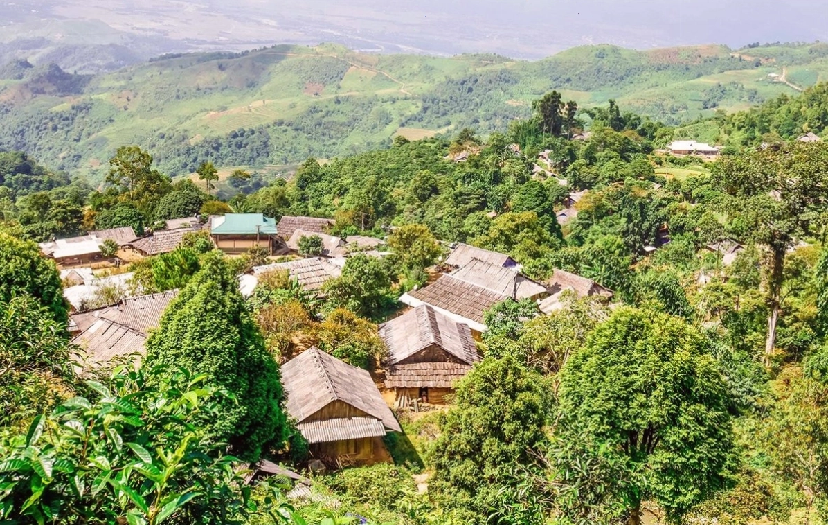 Thung lũng Mường Lò với cánh đồng lúa xanh mướt