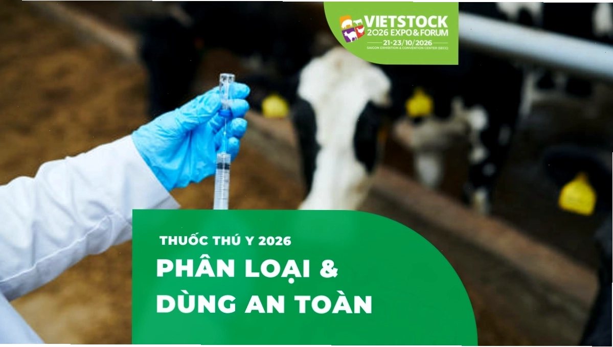 Thuốc thú y và dụng cụ y tế trong chăn nuôi