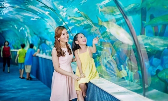Toàn cảnh Khuê Văn Các nhìn từ xa