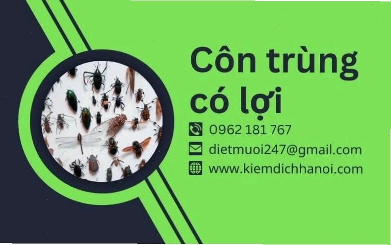 Tổng hợp các loài côn trùng có lợi và vai trò của chúng