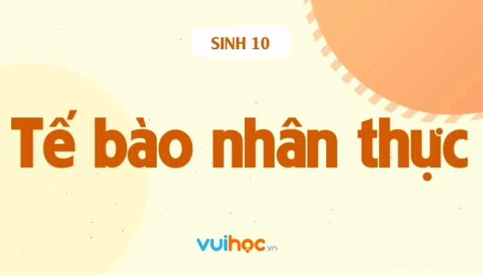 Tổng quan cấu trúc tế bào nhân thực