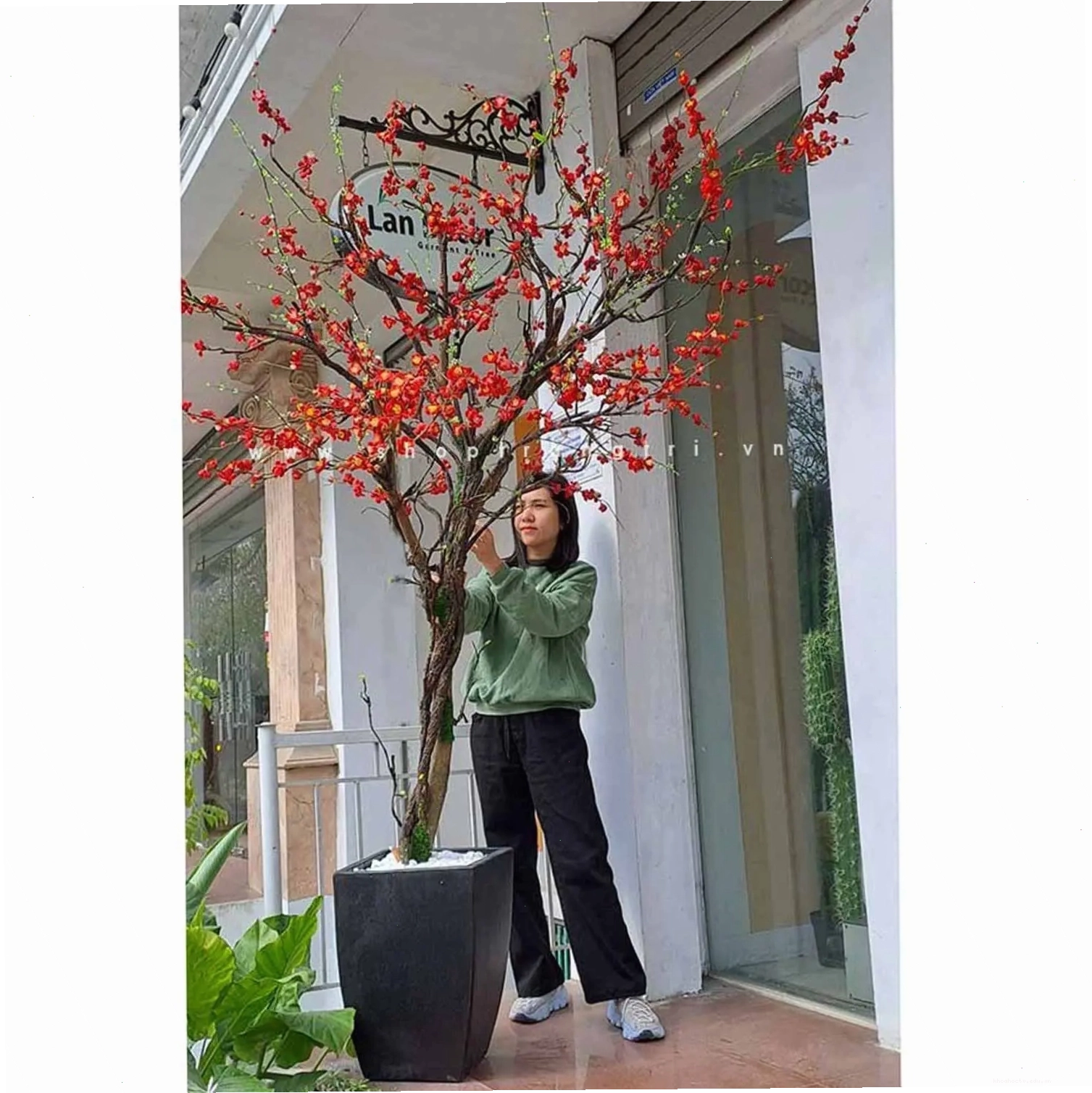 Trang trí cây mai giả ngày Tết với nhiều phụ kiện