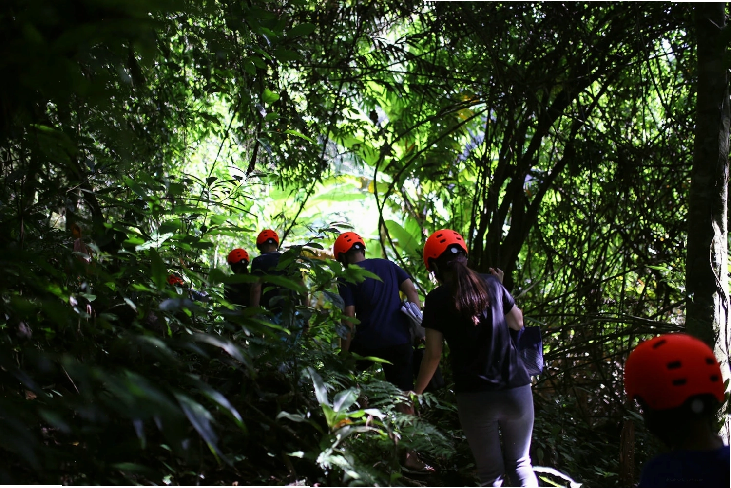 Trekking Thác K50, hành trình chinh phục chốn tiên cảnh giữa rừng già