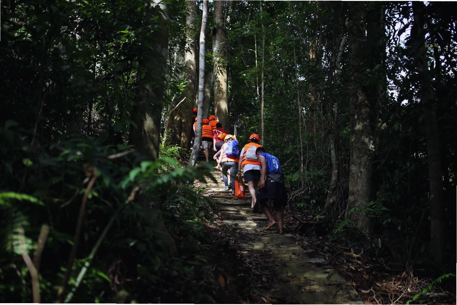 Trekking Thác K50, hành trình chinh phục chốn tiên cảnh giữa rừng già