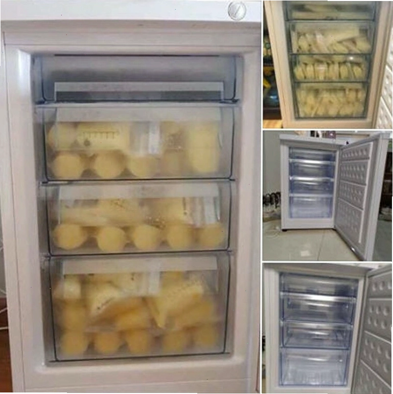 Tủ đông mini trữ sữa Hòa Phát