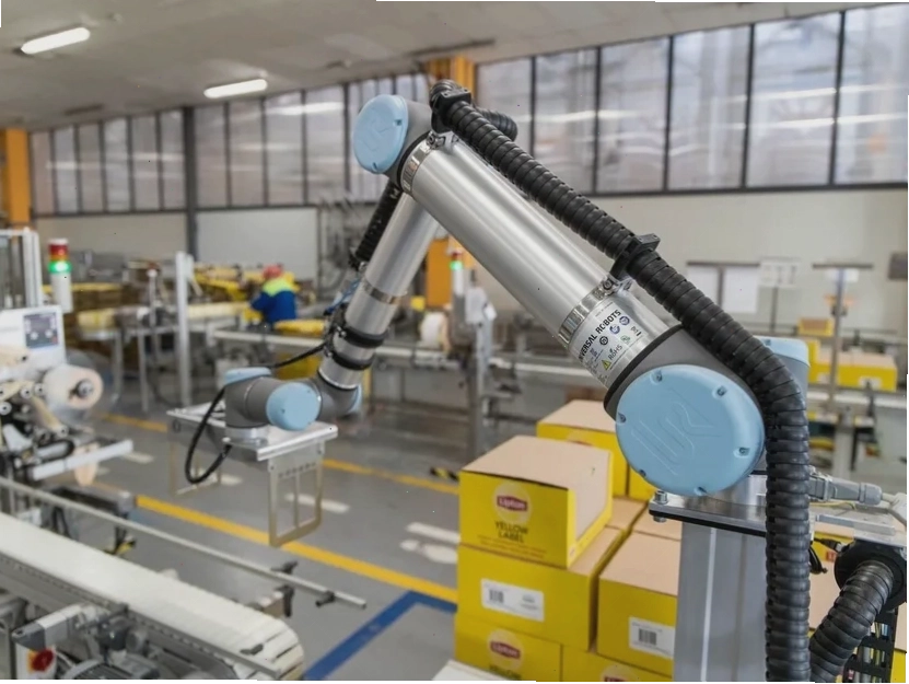Ứng dụng cobot trong việc pallet hóa sản phẩm