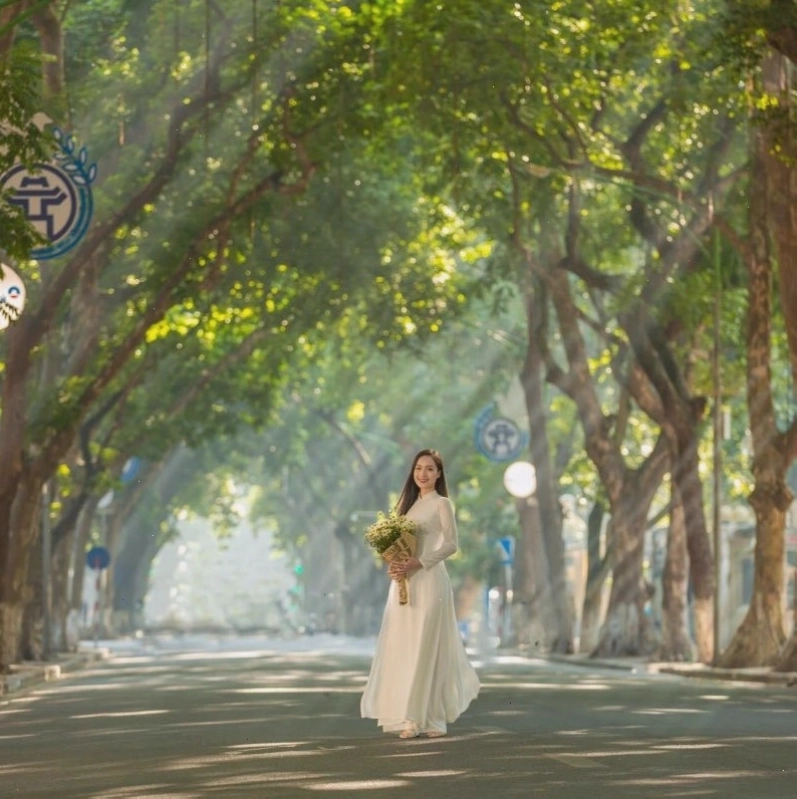 Vẻ đẹp lãng mạn của phố Phan Đình Phùng vào mùa thu