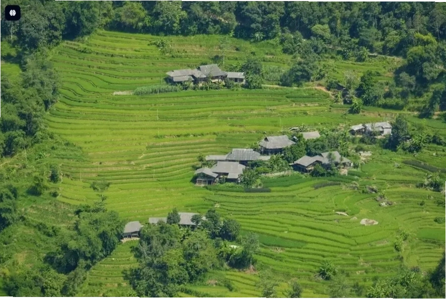 Vẻ đẹp ngoạn mục của ruộng bậc thang Hà Giang