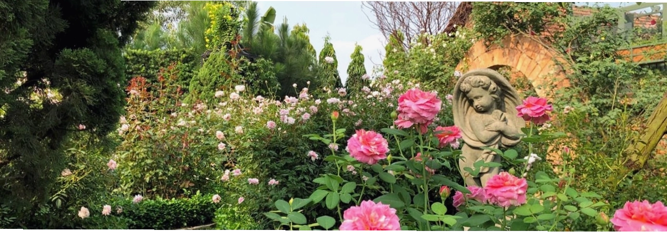Vẻ đẹp thơ mộng và lãng mạn của Vũ Garden