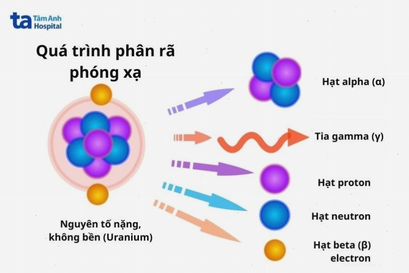 Ví dụ về quá trình phân rã phóng xạ với nguyên tố uranium tạo ra hạt alpha, beta, tia gamma