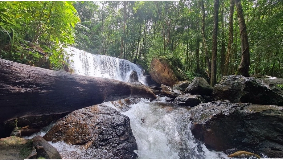 Vị trí Suối Tranh Waterfall Phú Quốc trên bản đồ