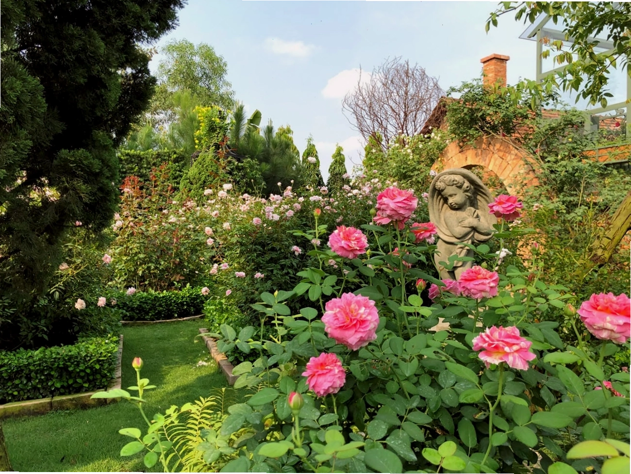 Vũ Garden với các góc chụp đa dạng, từ lãng mạn đến cá tính