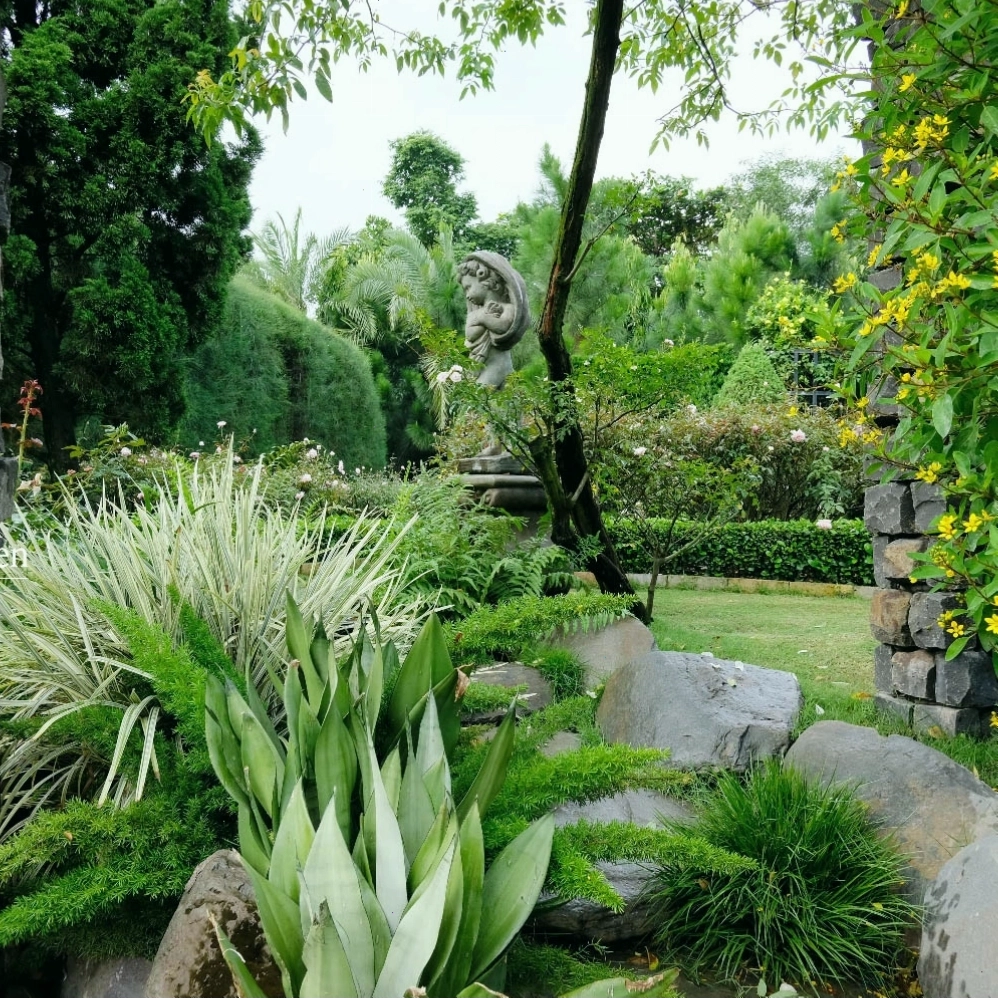 Vũ Garden với không gian xanh mướt và những lối đi thơ mộng