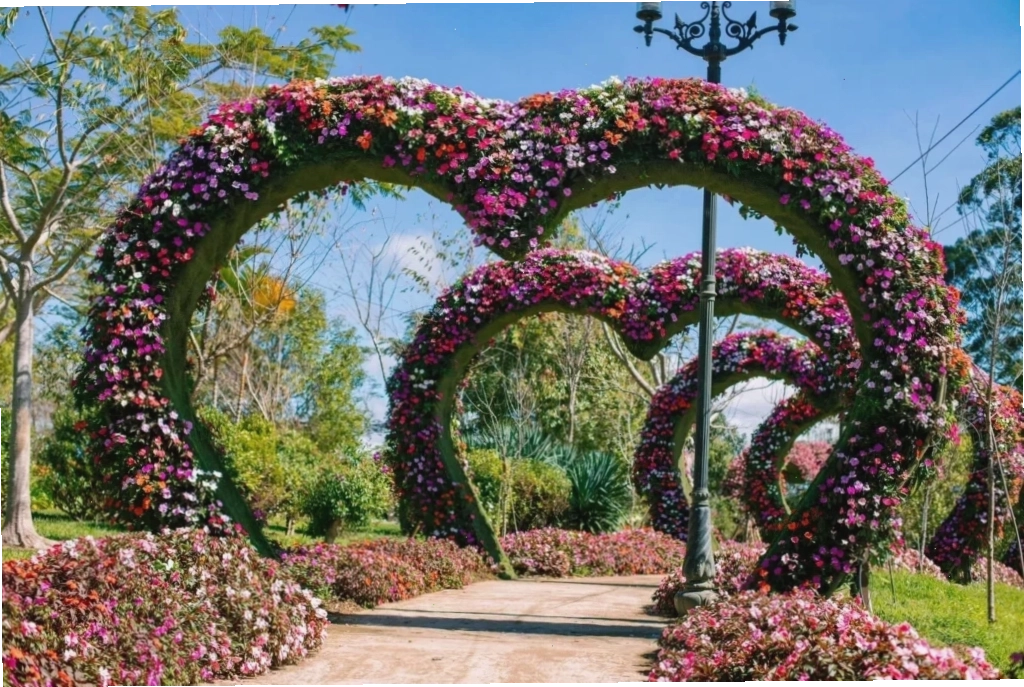 Vườn hoa Đà Lạt rực rỡ sắc màu