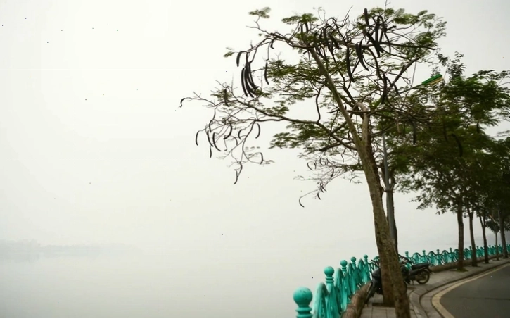Miền Bắc trời rét kèm sương mù dài ngày ảnh hưởng đến tầm nhìn ngang