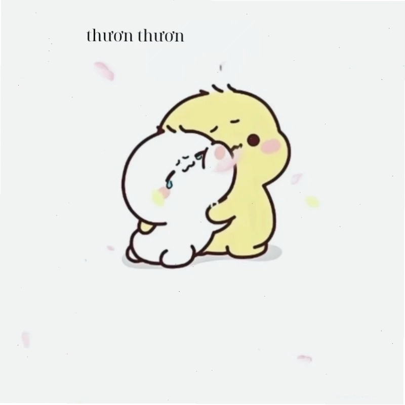 meme cuộc sống hài hước ý nghĩa về tình yêu