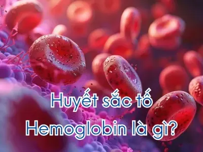 Vì sao máu người có màu đỏ? Sắc tố nào quyết định?