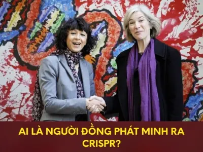Ai là người đồng phát minh công nghệ chỉnh sửa gen CRISPR?