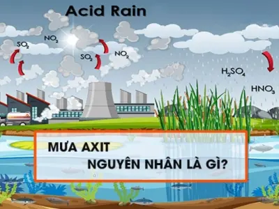 Những loại khí nào gây ra hiện tượng axit mưa?