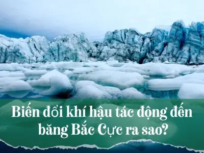 Biến đổi khí hậu ảnh hưởng băng Bắc Cực như thế nào?