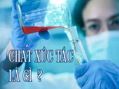 Chất xúc tác là gì? Tìm hiểu từ lý thuyết đến thực tế