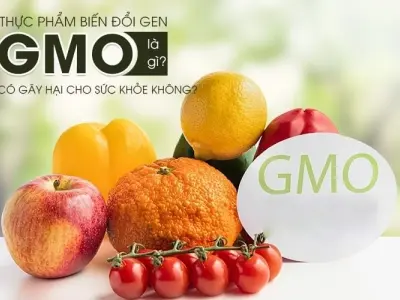 Thực phẩm biến đổi gen có thực sự an toàn cho sức khỏe?