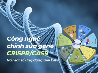 Vì sao CRISPR là công nghệ chỉnh sửa gen hàng đầu?