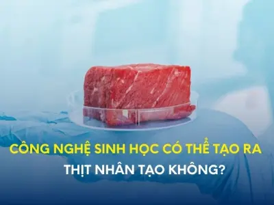 Công nghệ sinh học giúp sản xuất thịt nhân tạo ra sao?