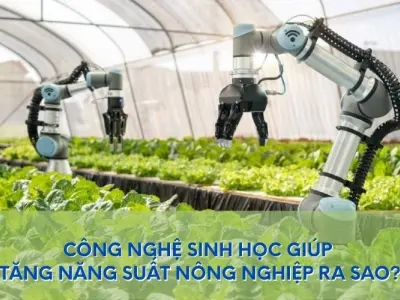Công nghệ sinh học làm năng suất nông nghiệp tăng thế nào?
