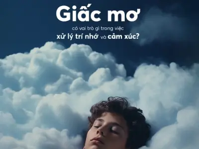 Tìm hiểu vai trò của giấc mơ với trí não con người