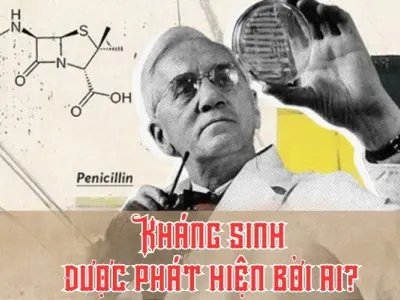 Kháng sinh được phát hiện bởi ai? Câu chuyện tình cờ vĩ đại!