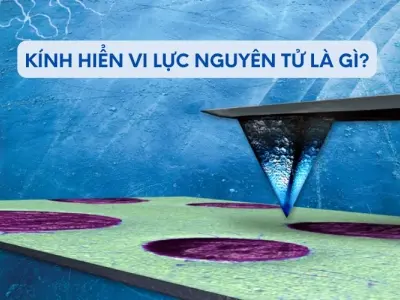 Kính hiển vi lực nguyên tử là gì và hoạt động ra sao?