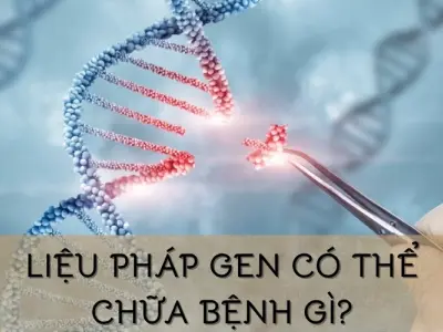 Liệu pháp gen ứng dụng trong chữa bệnh gì?