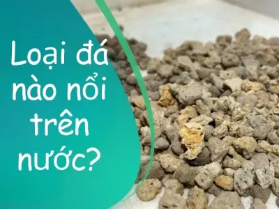 Bạn có biết loại đá nào có thể nổi trên mặt nước?