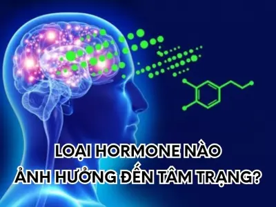Những hormone nào ảnh hưởng lớn đến tâm trạng con người