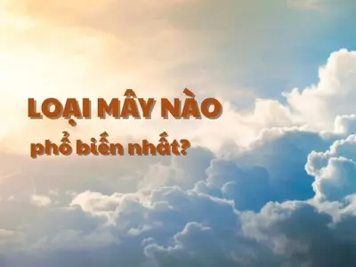 Vì sao mây tích được xem là phổ biến nhất hiện nay?