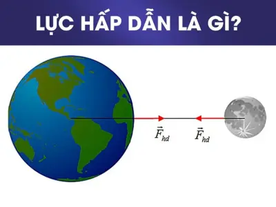 Lực hấp dẫn là gì? Khám phá sức hút vô hình quanh ta!