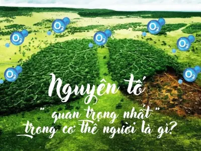 Giải đáp nguyên tố chính trong cơ thể người là gì?