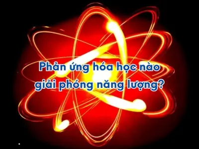 Phản ứng hóa học nào sinh nhiệt hiệu quả nhất?