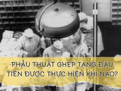 Lịch sử ghép tạng - Ca đầu tiên diễn ra khi nào?